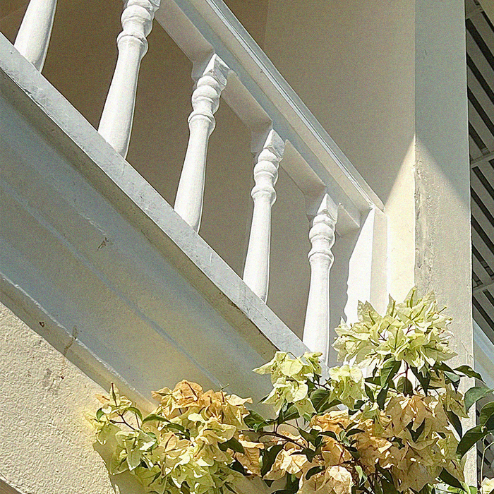 Fig Leaf & Fig Pulp Scented Space Perfume 200ml by Skeem - Available at allkpopmag. Price: $19.40.