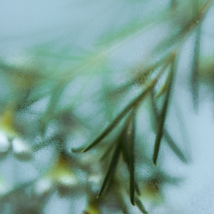 Monsoon Eau de Parfum 30ml by Albow - Available at allkpopmag. Price: $84.66.