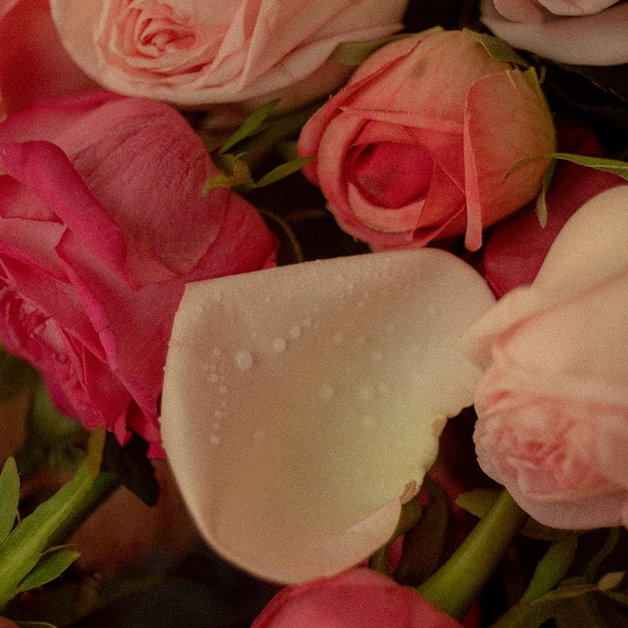 Sangroze Multi Perfume 100ml by Tone 28 - Available at allkpopmag. Price: $44.44.