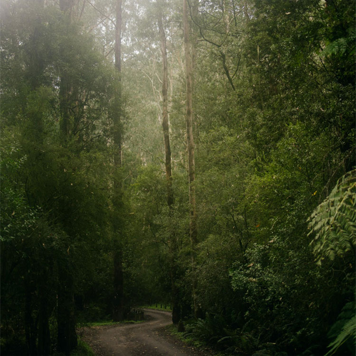 Gyuhyeok Gypsy Collection House Perfume Early Morning Dew 130ml by Memory - Available at allkpopmag. Price: $37.62.