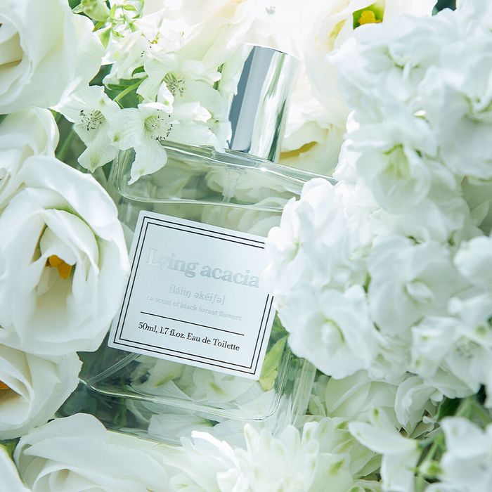 Lying Acacia Perfume 50ml - Acacia Scented Fragrance by Aro - Available at allkpopmag. Price: $76.43.
