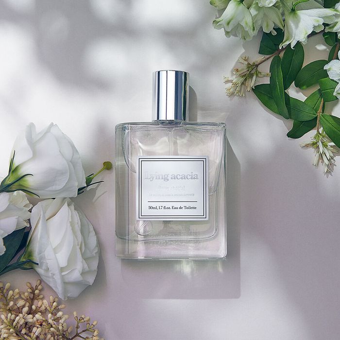 Lying Acacia Perfume 50ml - Acacia Scented Fragrance by Aro - Available at allkpopmag. Price: $76.43.