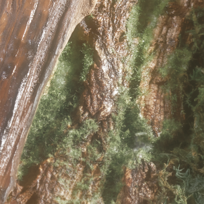 From Earls Eau de Parfum 30ml by Turdscent - Available at allkpopmag. Price: $44.68.