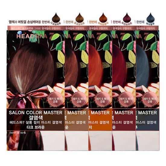 Head Spa 7 Salon Color Master Hair Dye, choose 1 of 5 (dye + gray coverage)