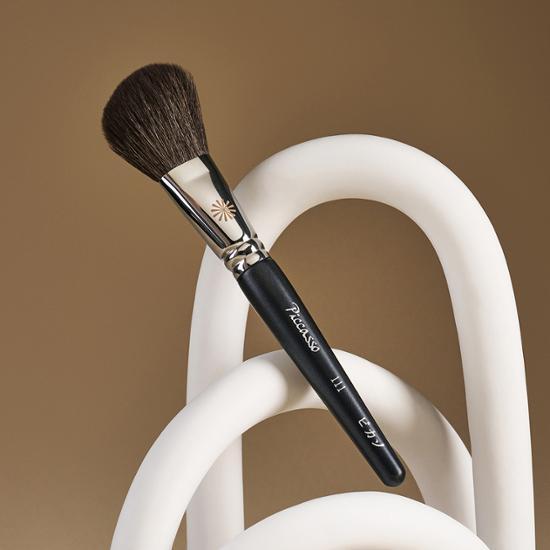 Picasso Shadow Creation 111 Shading Brush
