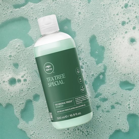 Paul Mitchell Tea Tree Special Shampoo 500ml bottle, designed for men's beauty, featuring a refreshing tea tree formula for scalp renewal.