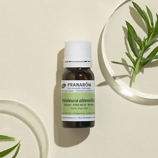 Pranarom Tea Tree Oil 10ml bottle for skincare, perfect for toners and mists, featured in K-Beauty products.