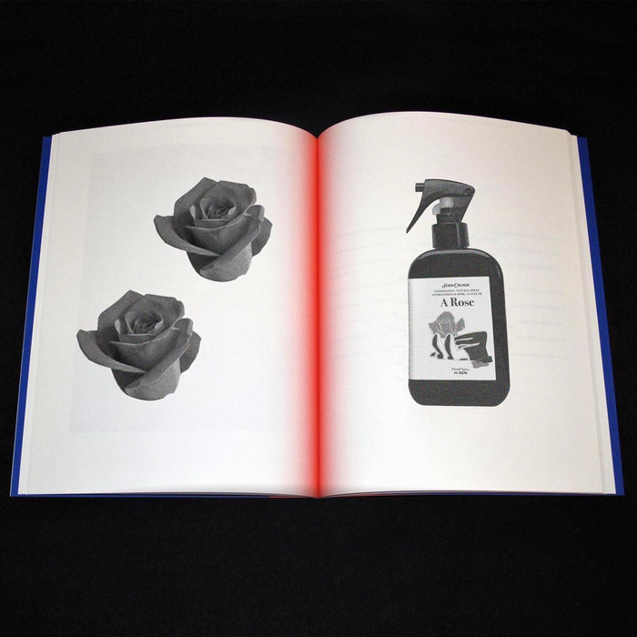 O Rose Fabric Space Perfume 200ml [Rose Wood Scent] by Skeem - Available at allkpopmag. Price: $19.40.