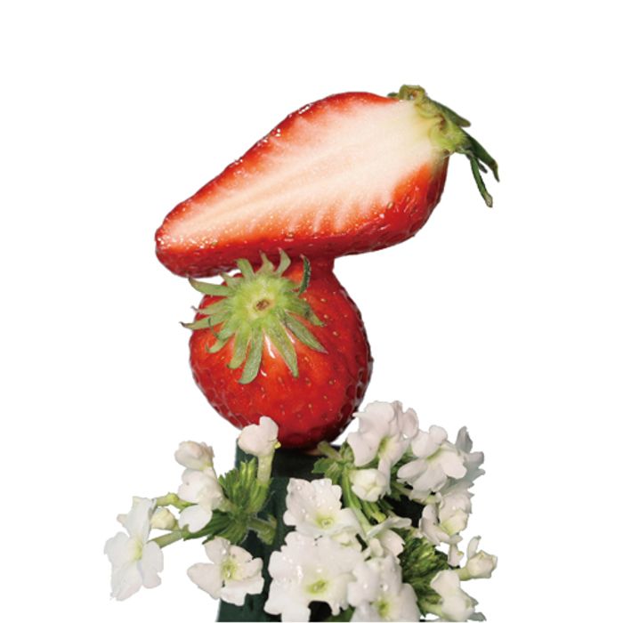 Poply Perfume Before Dating No.2 30ml by Poply - Available at allkpopmag. Price: $57.03.