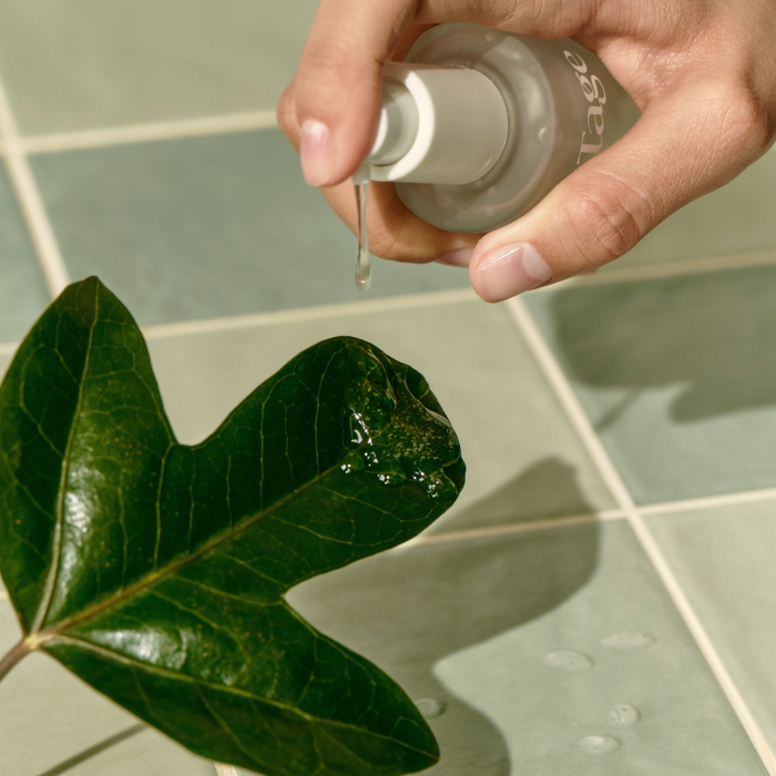 Vegan Cypress Calming Serum - Soothing Hinoki Essence by Stage - Available at allkpopmag. Price: $41.39.
