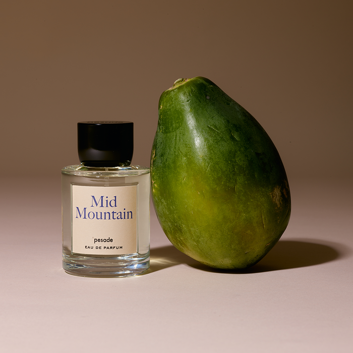 Mid Mountain Eau de Parfum 100ML by Facade - Available at allkpopmag. Price: $190.48.