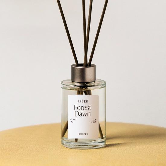 Alt text: Liber Diffuser 100ml in Wild Garden variant, showcasing its elegant design for a refreshing fragrance experience in health and beauty.