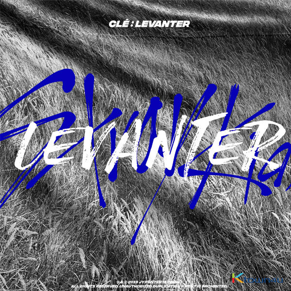 Stray Kids - Mini Album [Clé: LEVANTER] (Standard Edition) by Stray Kids - Available at allkpopmag. Price: $12.25.
