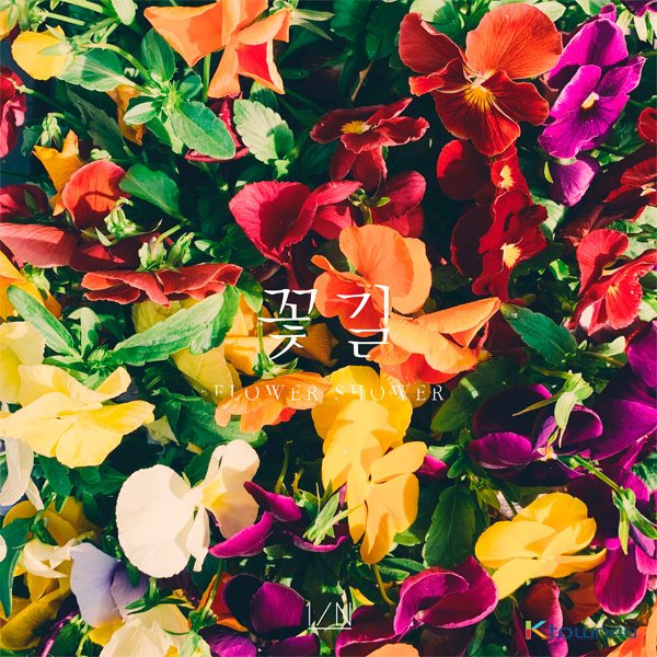 1/11 - Album [Flower Road] by 1/N - Available at allkpopmag. Price: $13.63.