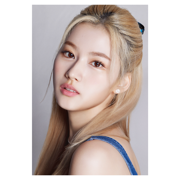 DICON D'FESTA TWICE SANA Collectible Figure by TWICE - Available at allkpopmag. Price: $43.62.