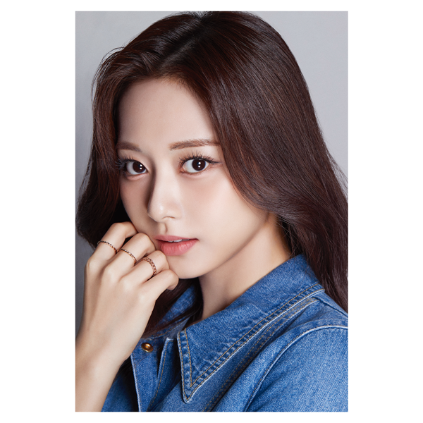 DICON D'FESTA TWICE TZUYU Collectible Figure by TWICE - Available at allkpopmag. Price: $43.62.
