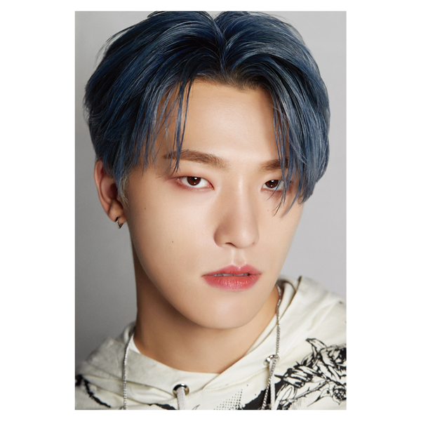 DICON D'FESTA SEVENTEEN DINO Collectible Merchandise by Seventeen - Available at allkpopmag. Price: $43.62.