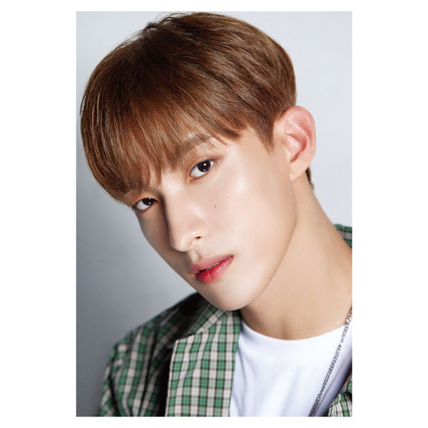 DICON D'FESTA SEVENTEEN DK Collectible Item by Seventeen - Available at allkpopmag. Price: $43.62.
