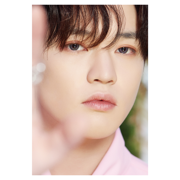 DICON D'FESTA NCT DREAM Chenle Collectible Item by NCT DREAM - Available at allkpopmag. Price: $43.62.