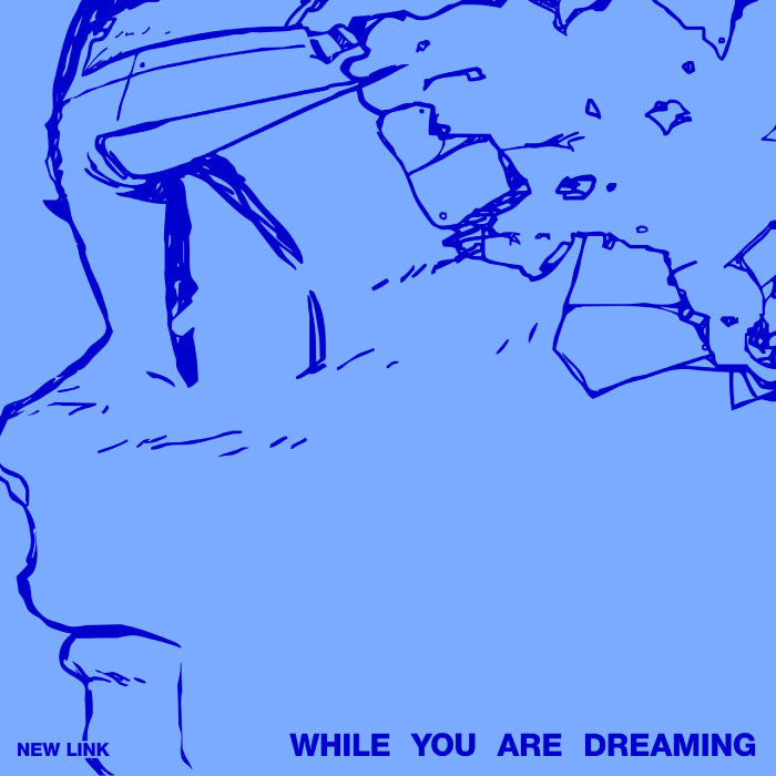 new-link-while-you-are-dreaming