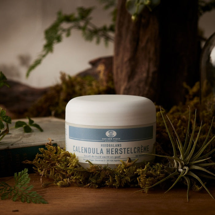 Calendula Herbal Soothing Moisture Cream 110ml - EU Natural Certified by Vanderpique - Available at allkpopmag. Price: $84.66.