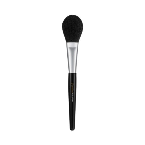 blush-brush-833