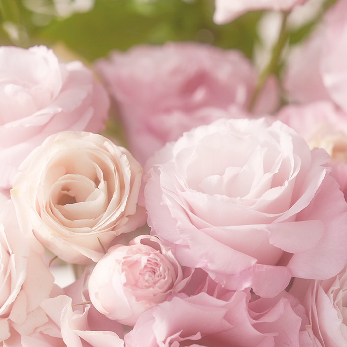 Rosebud Eau de Parfum 30ml by Turdscent - Available at allkpopmag. Price: $44.68.