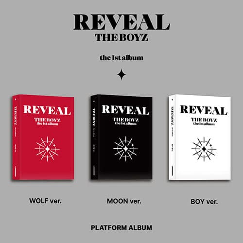 the-boyz-1st-album-reveal-platform-ver